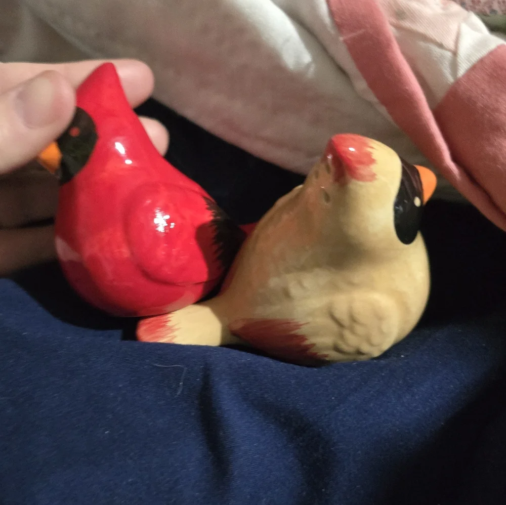 Ceramic Bird Figurines - Red and Yellow Salt And Pepper Shakers